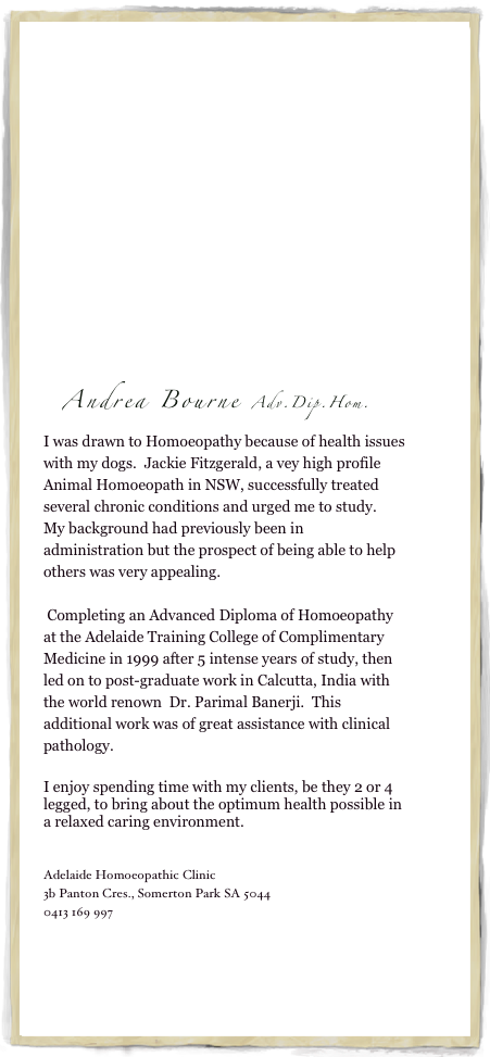 












Andrea Bourne Adv.Dip.Hom.
I was drawn to Homoeopathy because of health issues with my dogs.  Jackie Fitzgerald, a vey high profile Animal Homoeopath in NSW, successfully treated several chronic conditions and urged me to study.   My background had previously been in administration but the prospect of being able to help others was very appealing.
 Completing an Advanced Diploma of Homoeopathy at the Adelaide Training College of Complimentary Medicine in 1999 after 5 intense years of study, then led on to post-graduate work in Calcutta, India with the world renown  Dr. Parimal Banerji.  This additional work was of great assistance with clinical pathology. 
I enjoy spending time with my clients, be they 2 or 4 legged, to bring about the optimum health possible in a relaxed caring environment.


Adelaide Homoeopathic Clinic
3b Panton Cres., Somerton Park SA 5044
0413 169 997
abourne@adam.com.au



